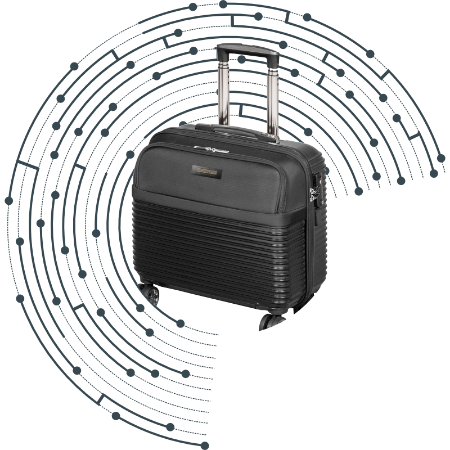 Picture for category Bags on Wheels & Travel Bags